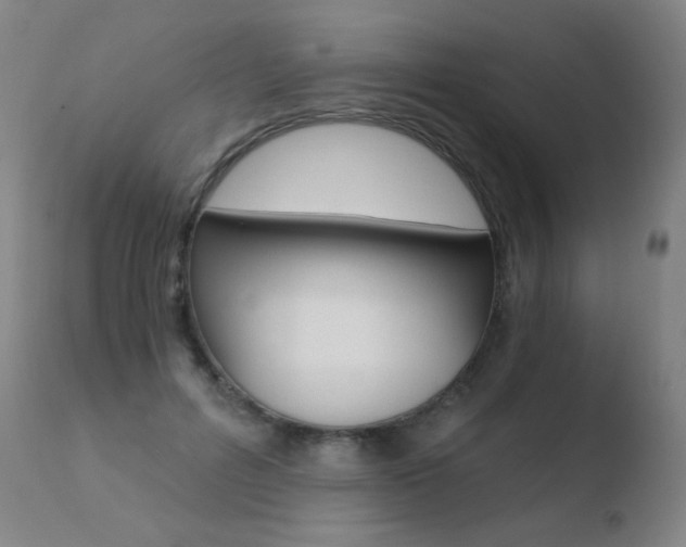 X0000110670600200906121103