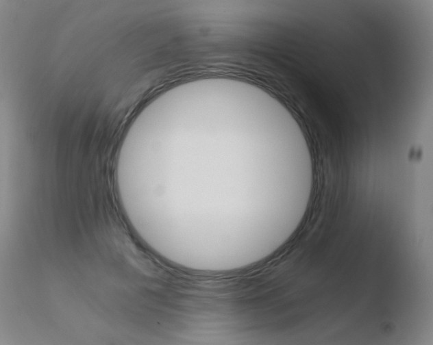 X0000110670601200906121103