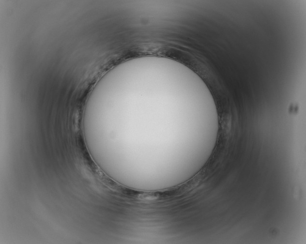 X0000110670602200906121103