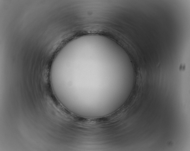 X0000110670604200906121103