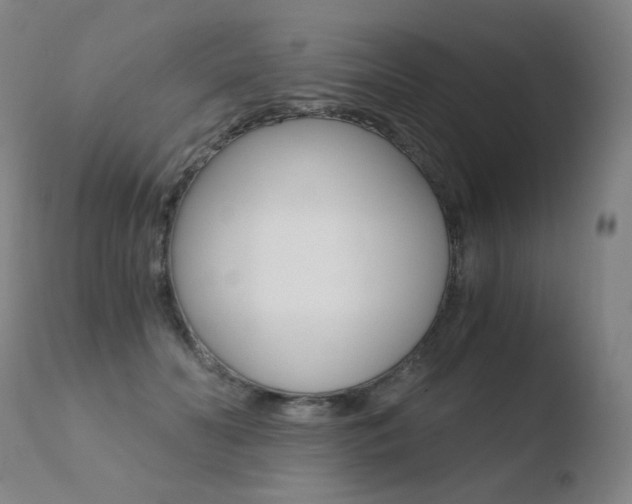 X0000110670606200906121103