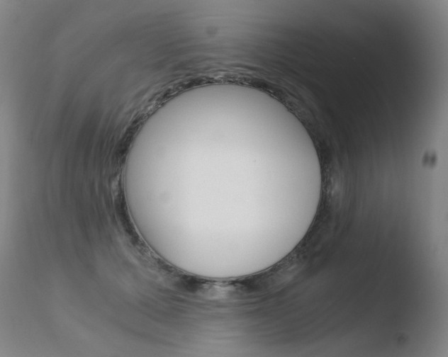 X0000110670607200906121103