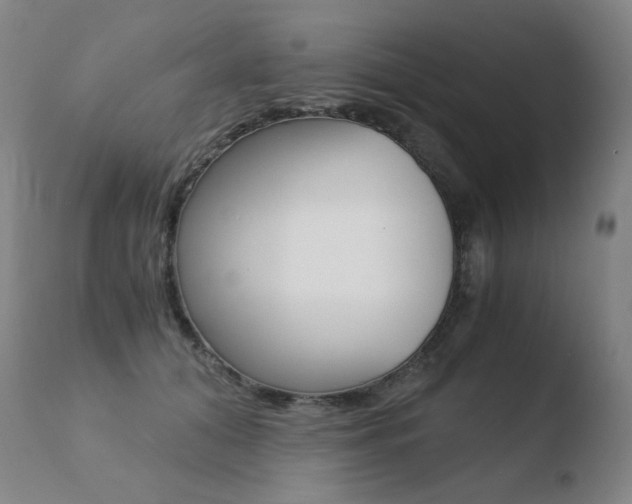 X0000110670608200906121103