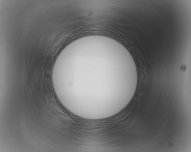 X0000110670609200906121103