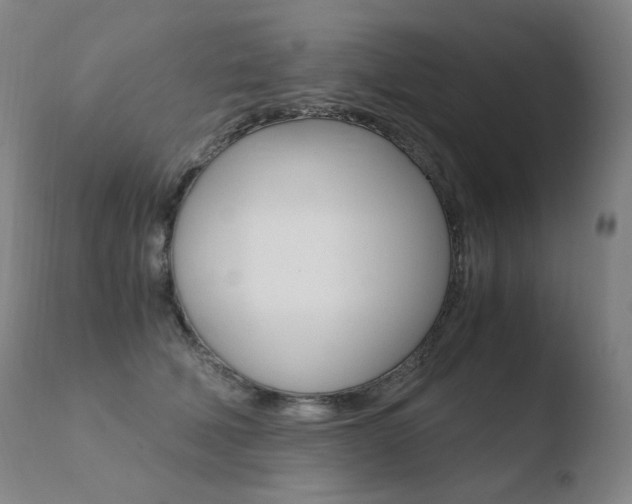 X0000110670610200906121103