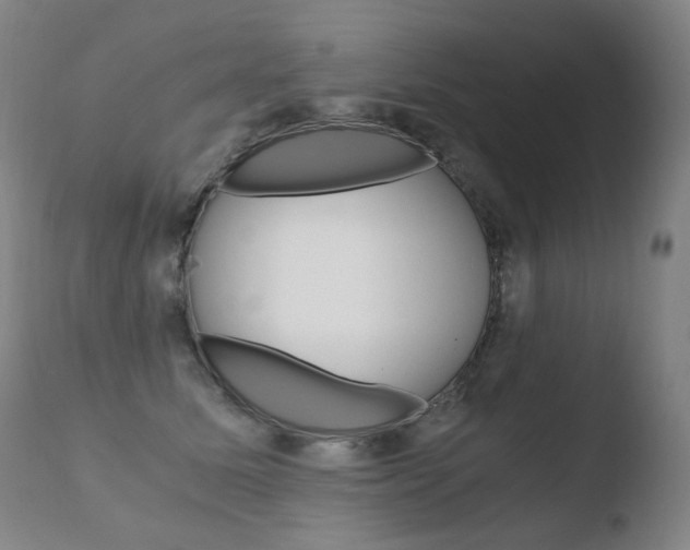X0000110670611200906121103