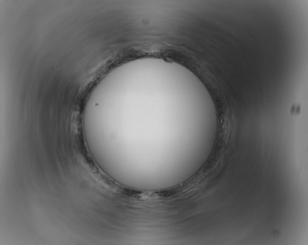 X0000110670612200906121103
