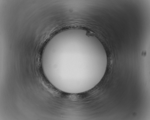 X0000110670615200906121103