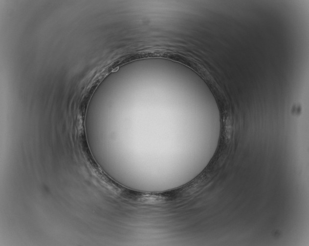 X0000110670617200906121103