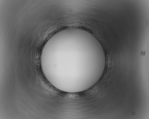 X0000110670619200906121103