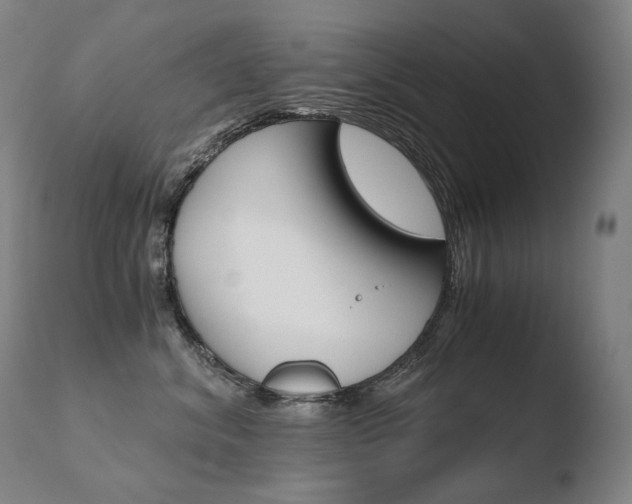 X0000110670620200906121103