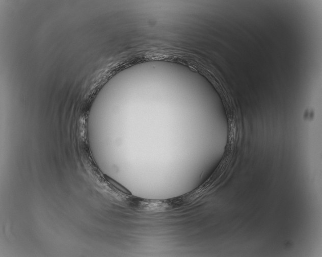 X0000110670621200906121103