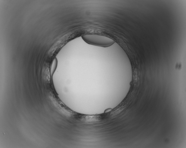 X0000110670622200906121103