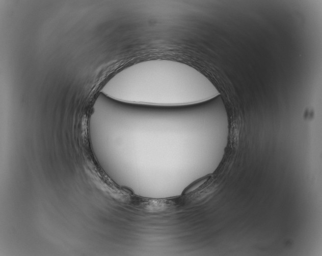 X0000110670623200906121103