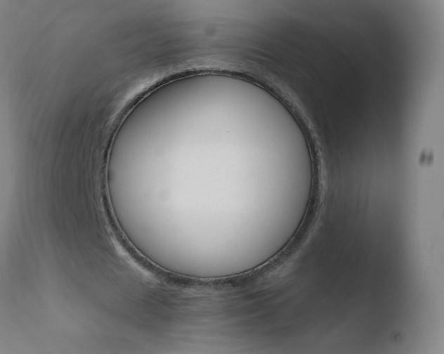 X0000110670625200906121102
