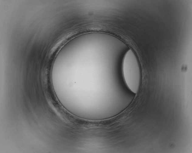 X0000110670626200906121102