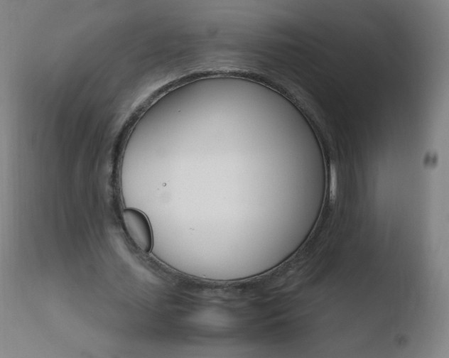 X0000110670627200906121102