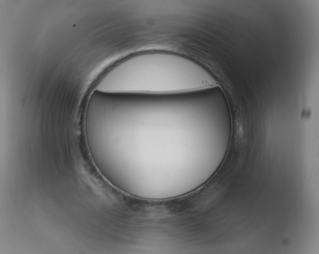 X0000110670628200906121102