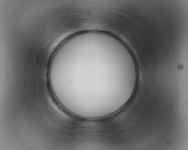 X0000110670629200906121102