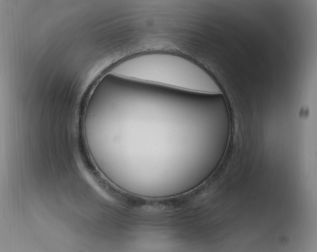 X0000110670630200906121102
