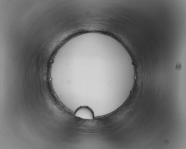 X0000110670631200906121102