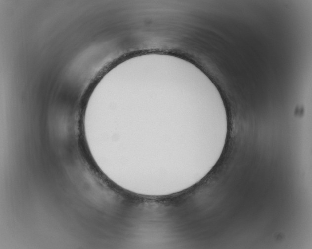 X0000110670632200906121102