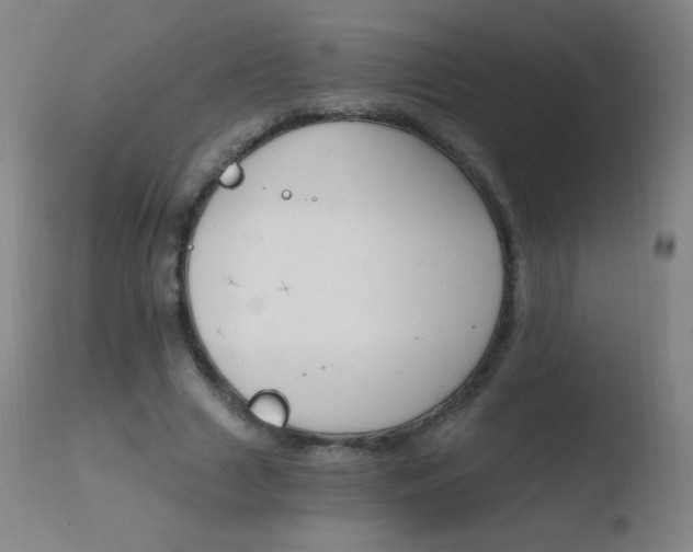 X0000110670633200906121102