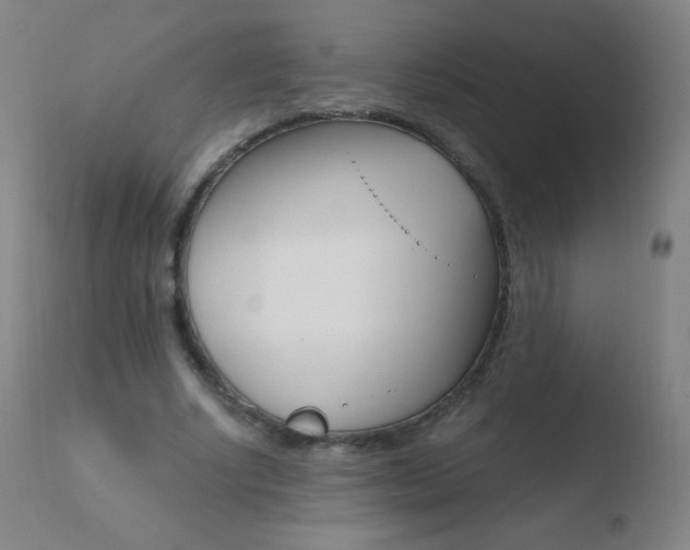 X0000110670634200906121102
