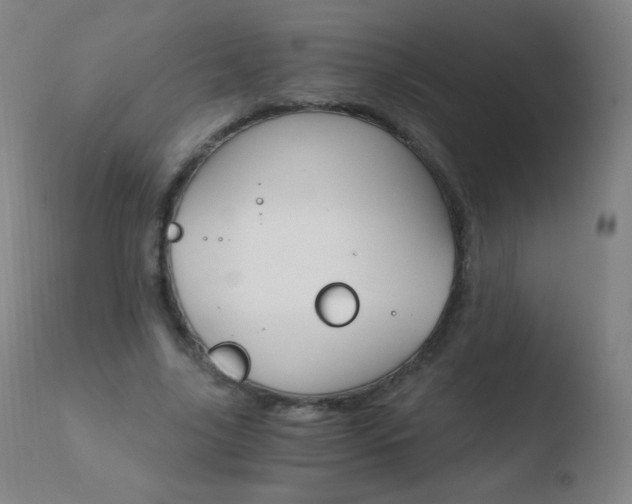X0000110670635200906121102