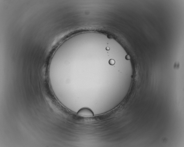X0000110670636200906121102