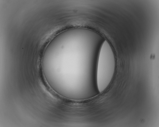 X0000110670637200906121102
