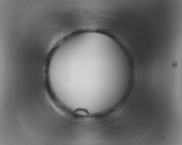 X0000110670638200906121102