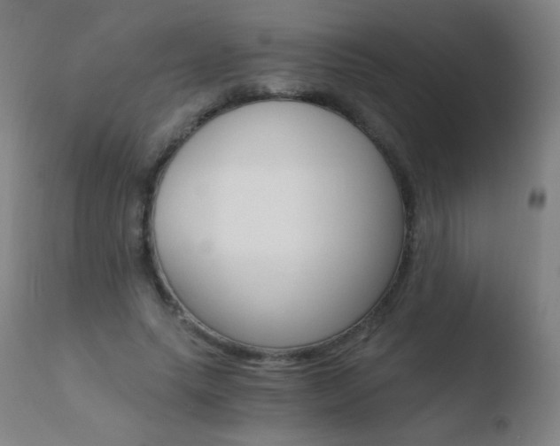 X0000110670639200906121102