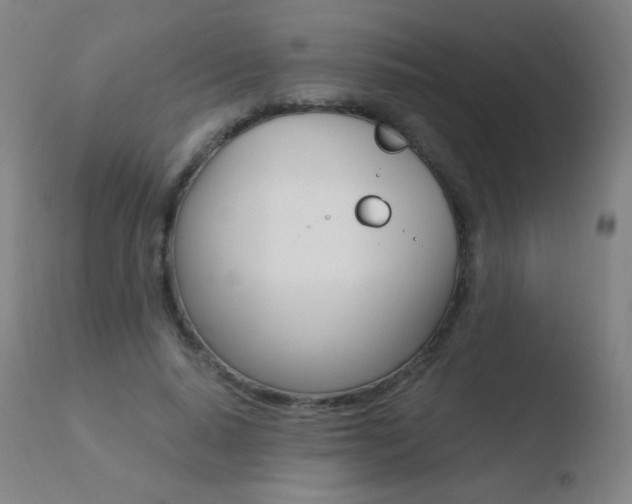 X0000110670640200906121102