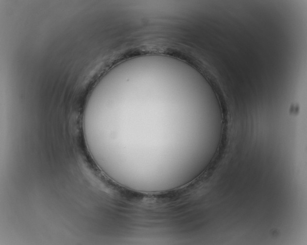 X0000110670641200906121102