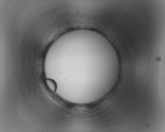 X0000110670642200906121102
