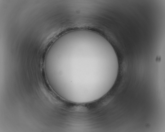 X0000110670644200906121102