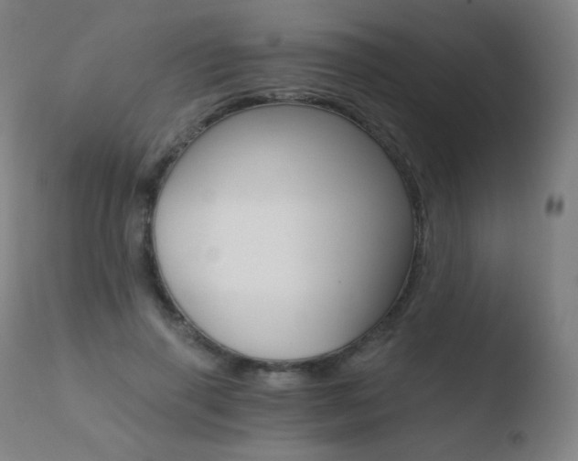 X0000110670645200906121102