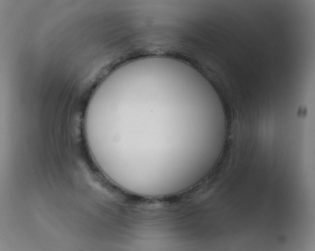 X0000110670646200906121102