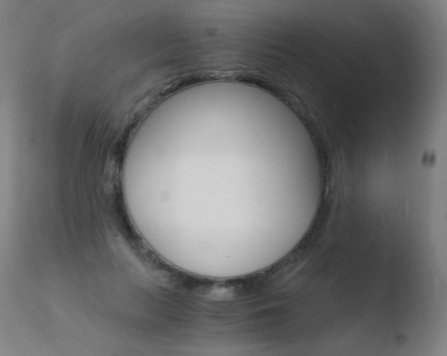 X0000110670647200906121102