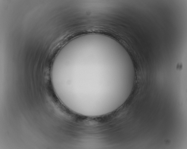 X0000110670648200906121102