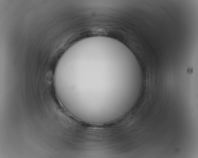 X0000110670649200906121102