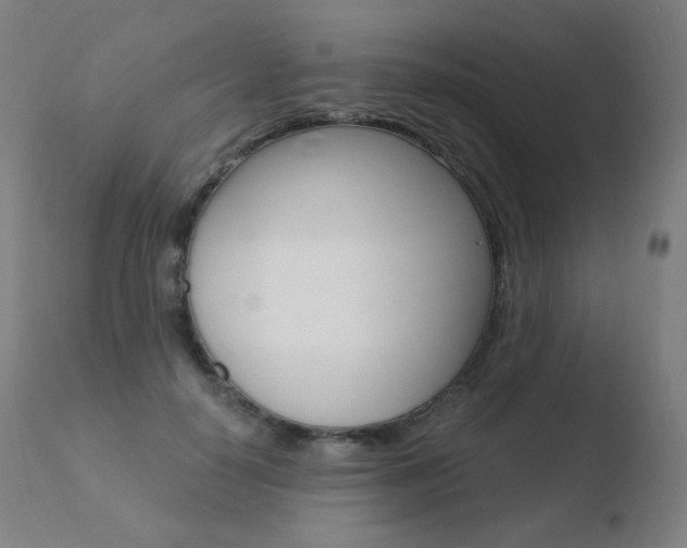 X0000110670650200906121102