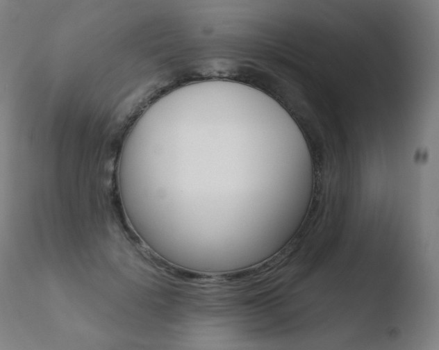 X0000110670652200906121102