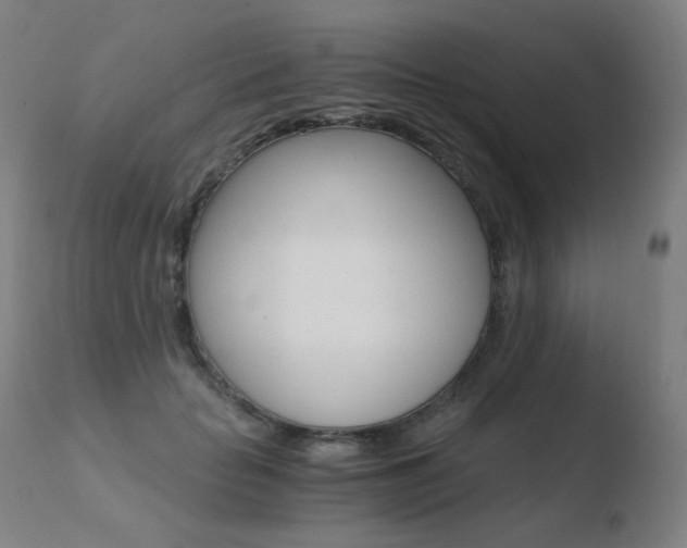 X0000110670653200906121102