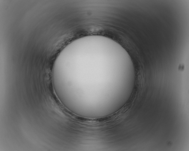 X0000110670654200906121102