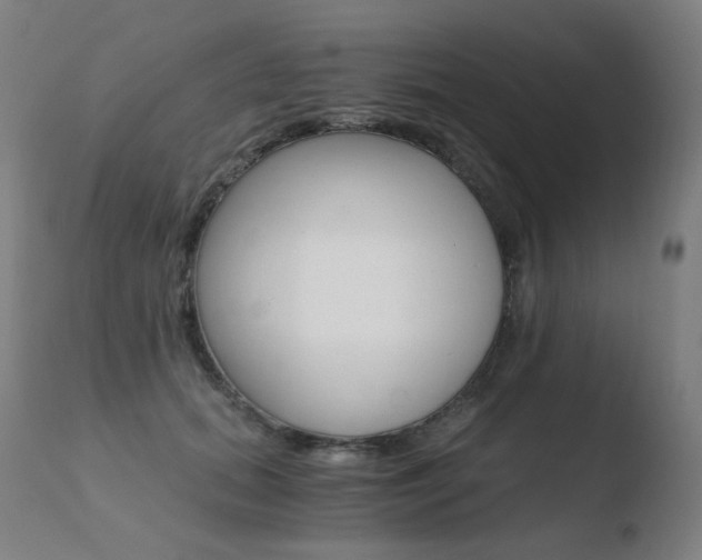 X0000110670655200906121102