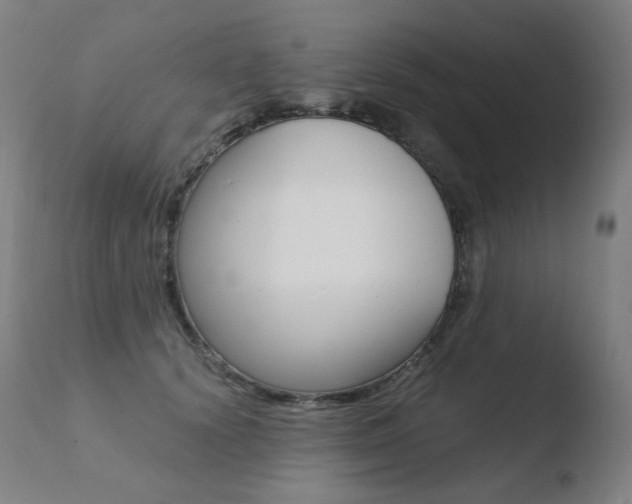 X0000110670656200906121102
