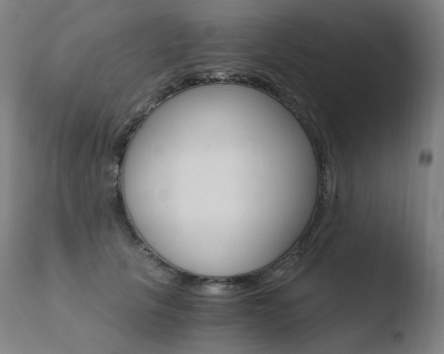 X0000110670657200906121103