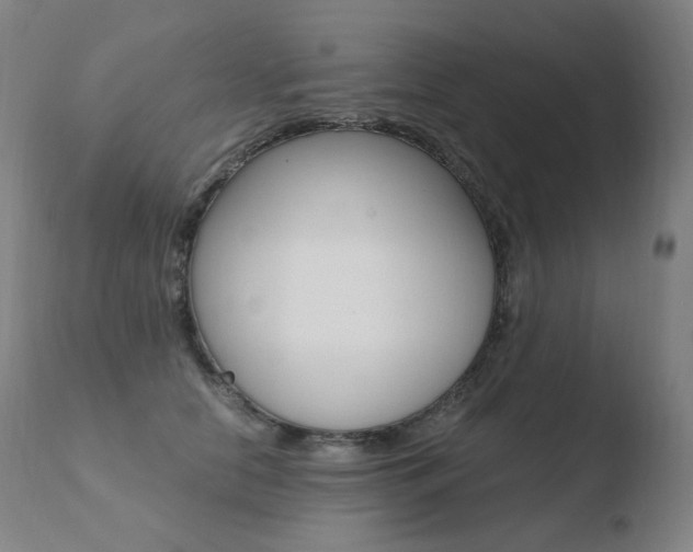 X0000110670658200906121103